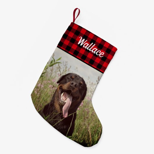 Familieportret Aangepaste Print Pet Foto Kleine Kerstsok (Voorkant (Hangend))