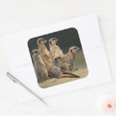 Familieportret Sticker (Envelop)