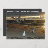 Familiereünie op het strand Seagull Evening Sunset Kaart (Voorkant / Achterkant)