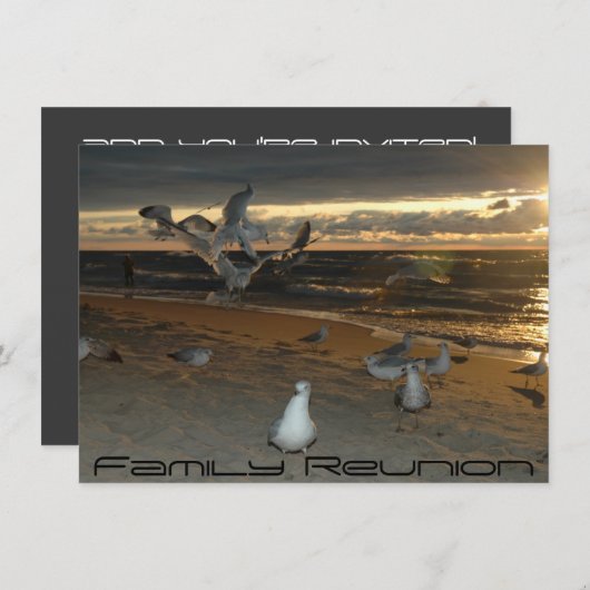 Familiereünie op het strand Seagull Evening Sunset Kaart (Voorkant / Achterkant)