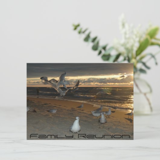 Familiereünie op het strand Seagull Evening Sunset Kaart (Staand voorkant)