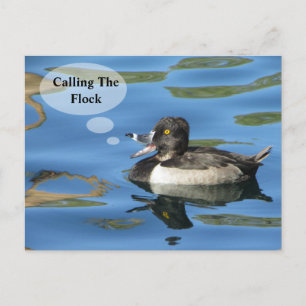 Familiereünie Oproep De Kudde Eend Aankondiging Briefkaart