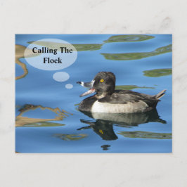 Familiereünie Oproep De Kudde Eend Aankondiging Briefkaart