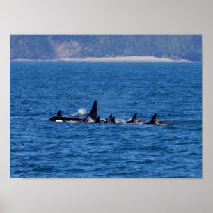 Families Stick Together Poster