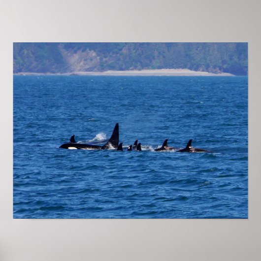 Families Stick Together Poster (Voorkant)