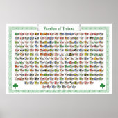 Families van Ierland - Wapenhoeken Poster (Voorkant)