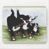 Familiestructuur Muismat (Voorkant)