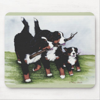 Familiestructuur Muismat