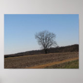 Familiestructuur Poster (Voorkant)