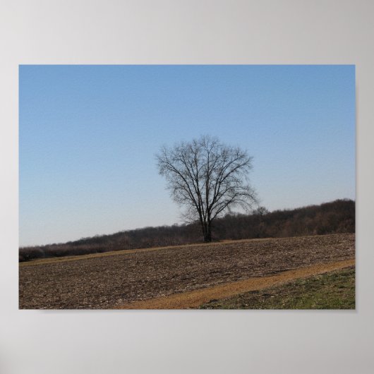 Familiestructuur Poster (Voorkant)