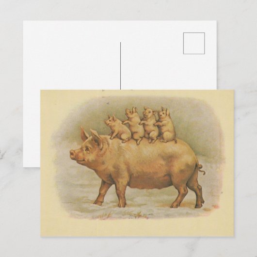 Famille de cochon briefkaart (Voorkant / Achterkant)
