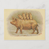 Famille de cochon briefkaart (Voorkant)