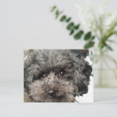 Family Dog Briefkaart (Staand voorkant)