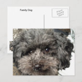 Family Dog Briefkaart (Voorkant / Achterkant)