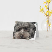 Family Dog Note Kaart (Gele Bloem)