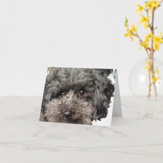 Family Dog Note Kaart (Gele Bloem)