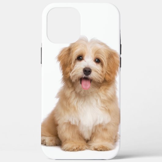 Family Dog Your Pet Photo Case-Mate iPhone Case (Achterkant)