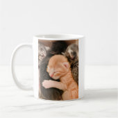 Family Is Everything, Kitten Coffee Mug Koffiemok (Links)