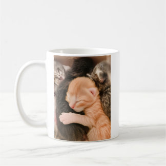 Family Is Everything, Kitten Coffee Mug Koffiemok