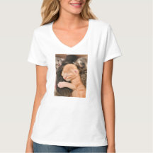 Family Is Everything, Kitten T-Shirt