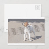 Family Pet Foto Briefkaart (Voorkant / Achterkant)