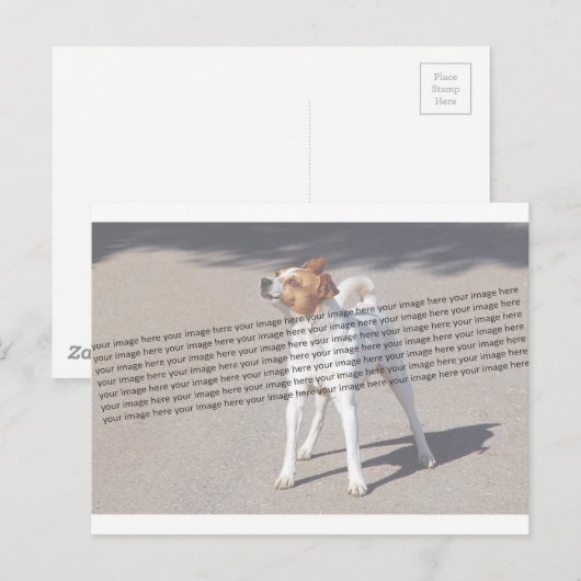 Family Pet Foto Briefkaart (Voorkant / Achterkant)