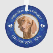 Family Pet Photo Memorial Ornament (achterkant)