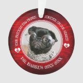 Family Pet Photo Memorial Ornament (voorkant)