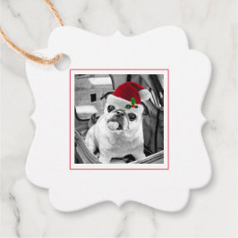 Family Pet Photo Santa Hat Merry Kerstmis Bedankjes Labels