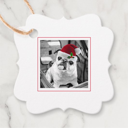 Family Pet Photo Santa Hat Merry Kerstmis Bedankjes Labels (Voorkant)