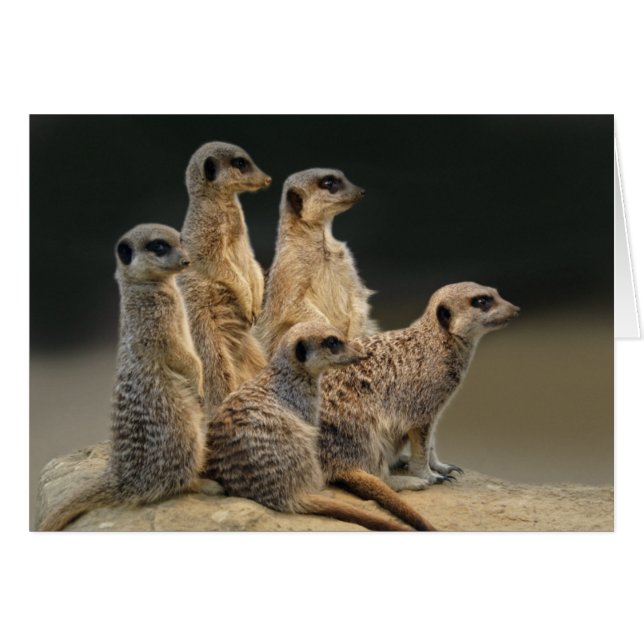 Family Portret Card (Voorkant Horizontaal)