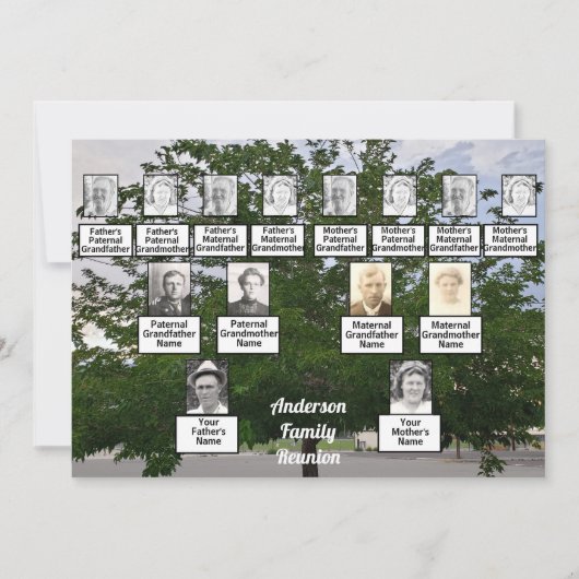 Family Reunion 3 Generation Summertime Boom Kaart (Voorkant)