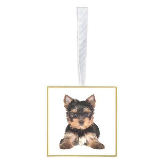 Family Tree Cube Decoratie (Rechts)