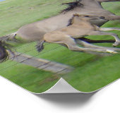 FamilyRun Poster (Hoek)