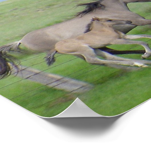 FamilyRun Poster (Hoek)