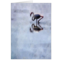 Famingo loopt in Heather Water