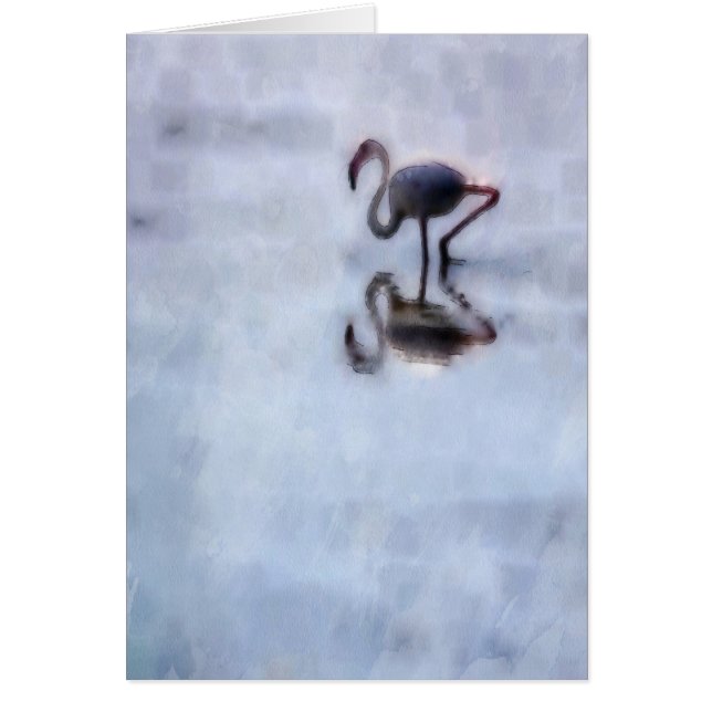Famingo loopt in Heather Water (Voorkant)