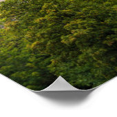 Famous Castles in Europe Countryside Afbeelding -  Poster (Hoek)