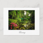 Famous Claude Monet Giverny Pond Lilies Briefkaart<br><div class="desc">De beroemde Claude Monet Giverny, de Franse Pond met Lilies Canvas Stileerde het Briefkaart van de Foto om aan uw reis memorabilia collectie toe te voegen. Een cool cadeau/cadeau idee voor iedereen die van aangepast design gepersonaliseerde objecten houdt, positieve beelden, architectuur, reizen, alles wat Frans is, magische landschappen, natuur, bloemen,...</div>