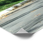 Famous Magnolia Ave St. Augustine, Florida Poster (Hoek)