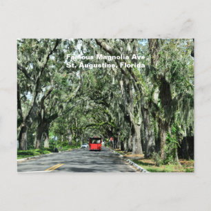 Famous Magnolia Avenue Briefkaart