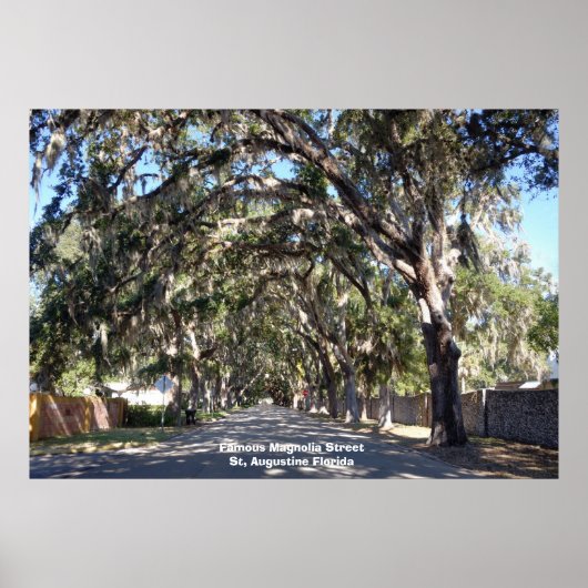 Famous Magnolia Street St, Augustine ... Poster (Voorkant)