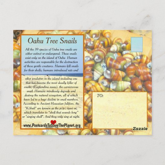 Famous Oahu Tree Snails are going extinct unless Briefkaart (Achterkant)