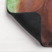 Famous Orangutan Moeder Muismat (Hoek)