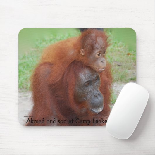 Famous Orangutan Moeder Muismat (Met muis)