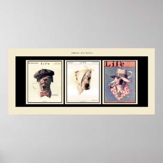 Famous Pit Bulls Poster (Voorkant)