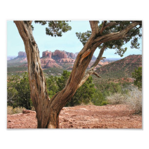 Famous Sedona Foto Afdruk