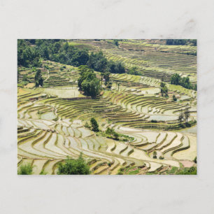 Famous yuanyang Rice Terraces - Yunnan, China Briefkaart
