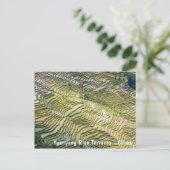 Famous yuanyang Rice Terraces - Yunnan, China Briefkaart (Staand voorkant)