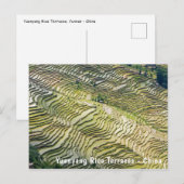 Famous yuanyang Rice Terraces - Yunnan, China Briefkaart (Voorkant / Achterkant)